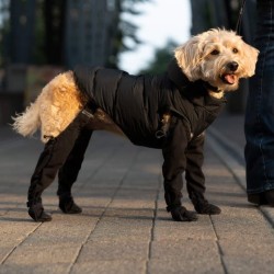 Adjustable and Connected Dog Boots - Ultimate Paw Protection
