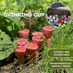 Bee Insect Drinking Cup 5-pack