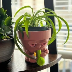 The Plant Pot that Puffs 🌿💨