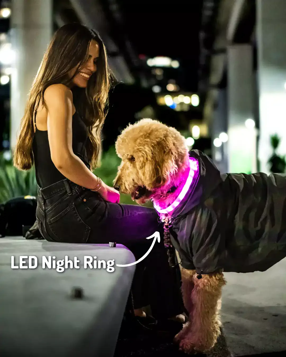 The Safest Matching Set for Walking Your Dog at Night