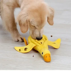 Quack Find Puzzle Toy