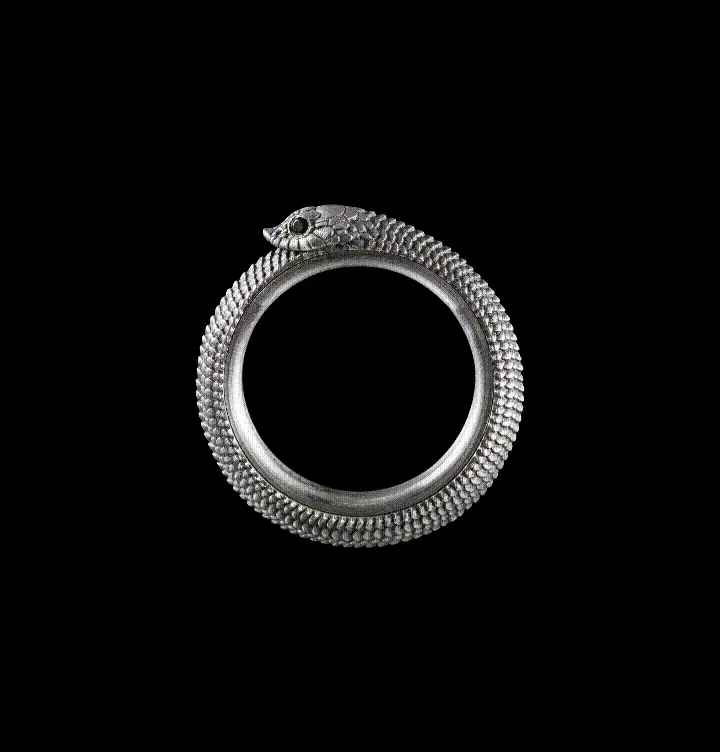 Ouroboros Spin Ring