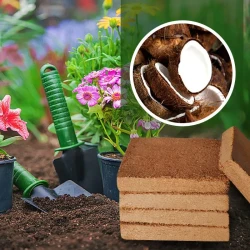 Highly Nutritious Compressed Organic Coconut Coir