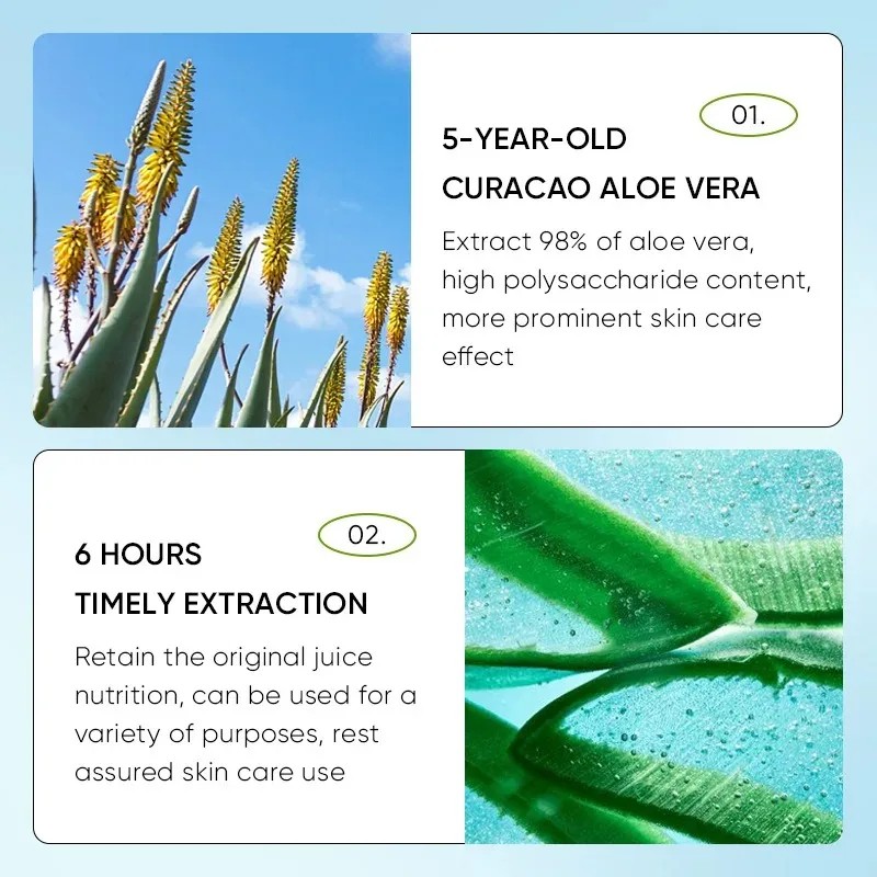 Lip Aloe Balm – Nourishing, Hydrating, and Moisturizing Lip Care for Preventing Cracking and Repairing Dry Lips