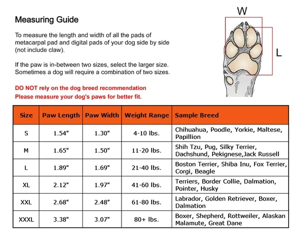 Dog Paw Protection