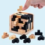 Wooden Intelligence Toy Brain Teaser Game
