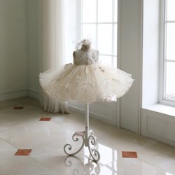 Princess Lace Dress Flower Girl Pettiskirt