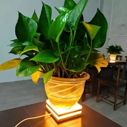 Square Wooden Art Table Lamp – 3 Colors, 9 Adjustable Brightness Levels, USB Energy-Saving, Natural Warm White Light, LED, with Push Button Control, Dimmable, Made of Real Wood, for Bedroom, Study, Living Room, Indoor Use
