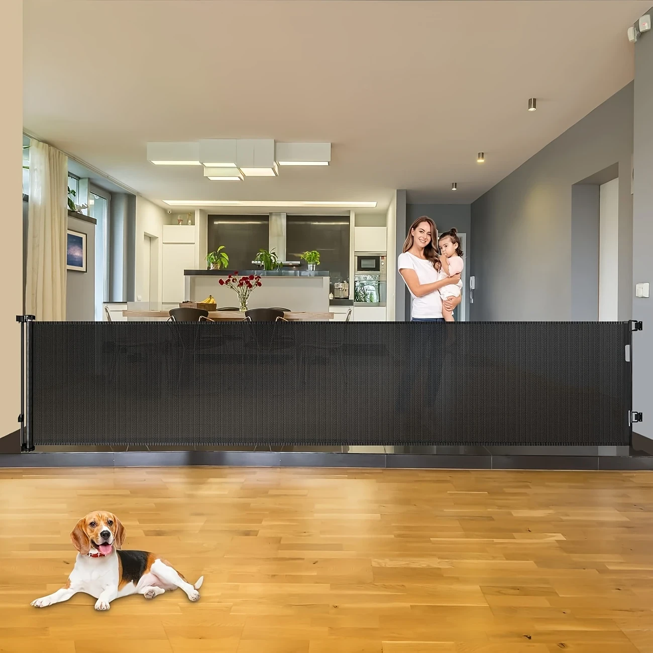 Retractable Fence
