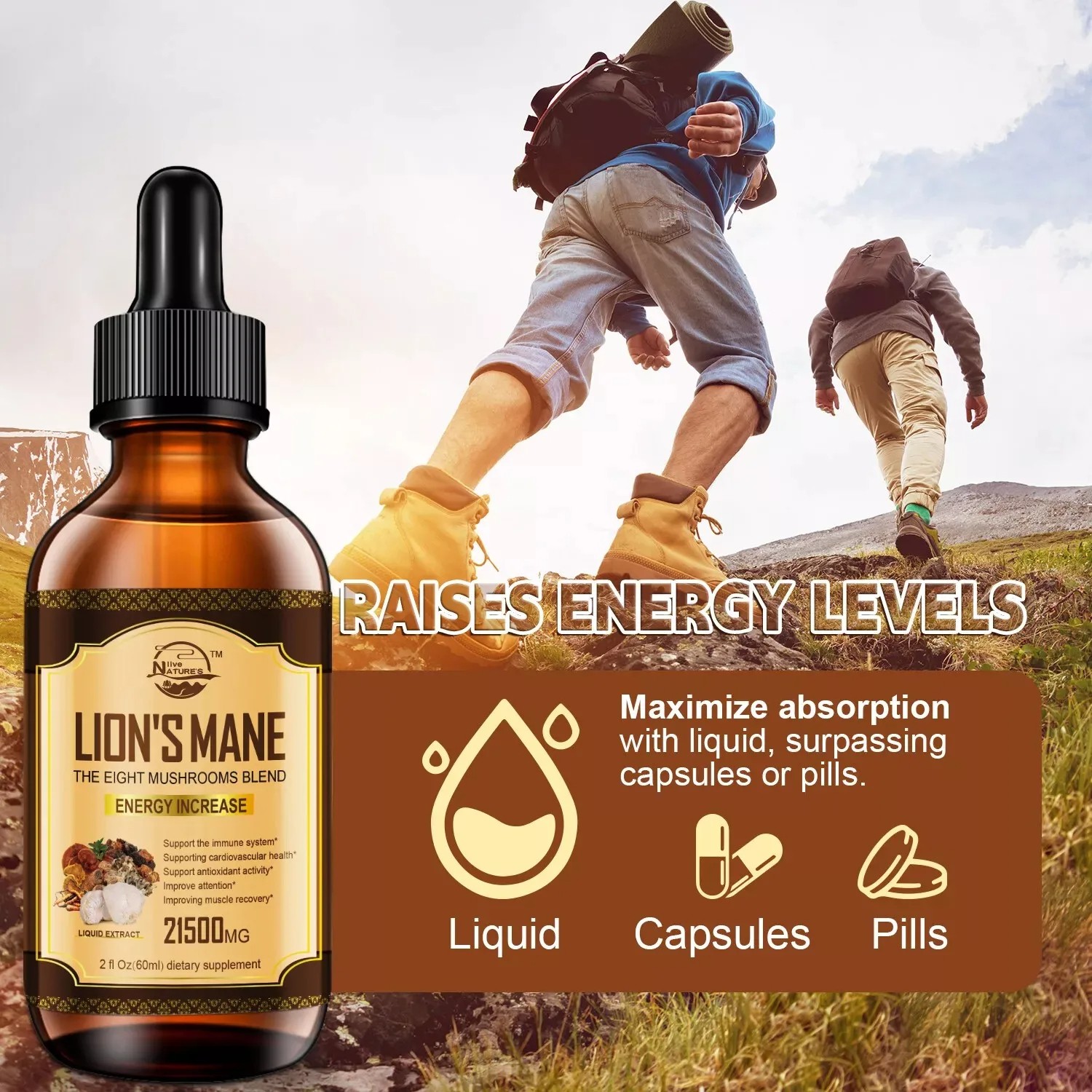 60ml Lion’s Mane, Chaga Mushroom Complex Reishi Extract Liquid Herbal Drops