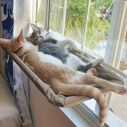 Durable Cozy Cat Window Perch
