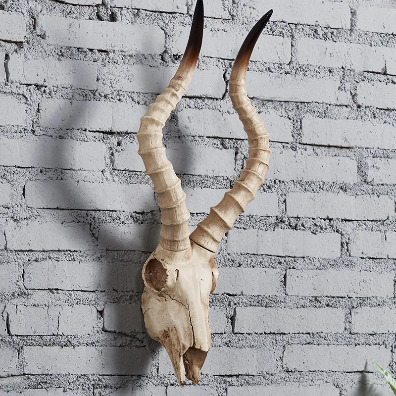 Cow Skull