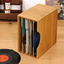 Vinyl Record Storage