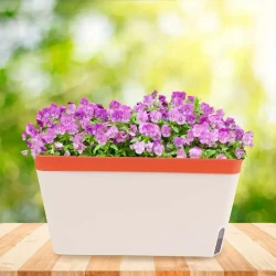 10.5 Modern Self-Watering Windowsill Planter Kit