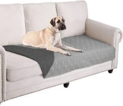 Animal Couch
