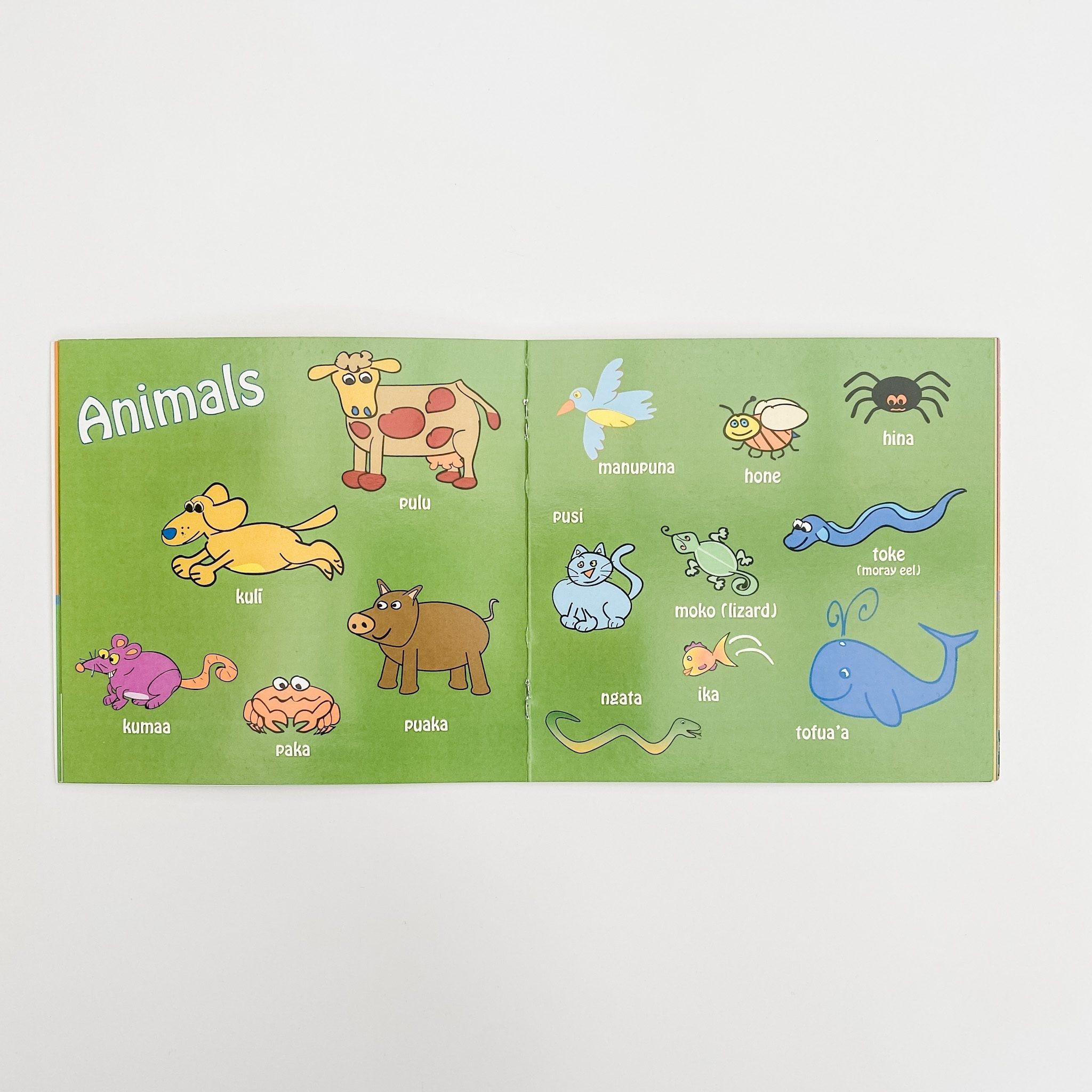 Tongan For Kids Book - Made in NZ