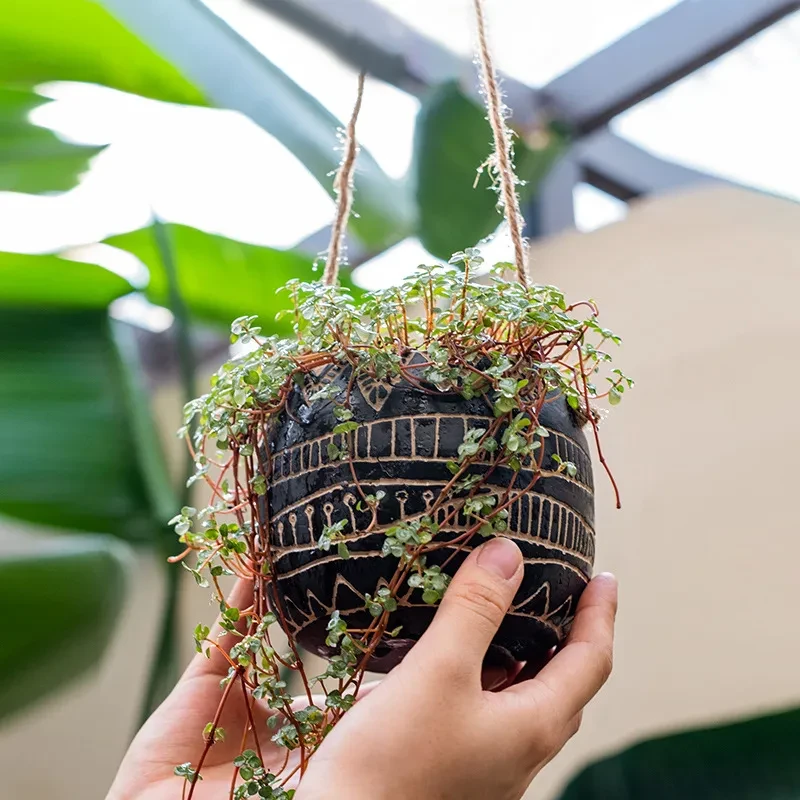 Hanging Wire Basket Shelves