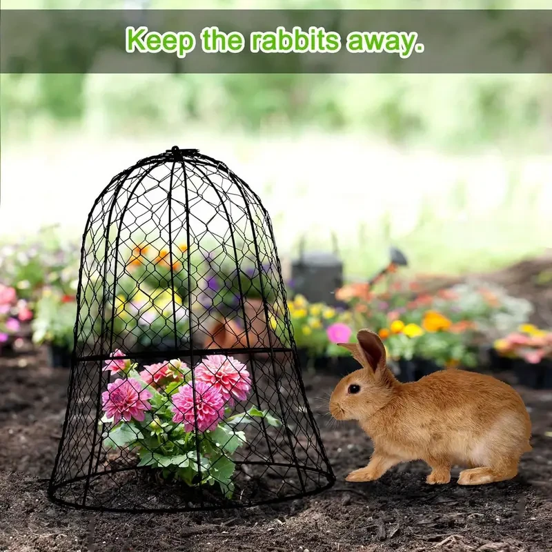 Garden Cloche