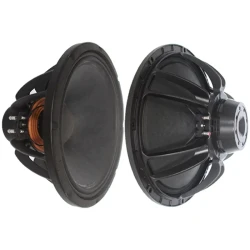 Neodymium Magnetic Woofer RA15N251 Full Frequency 75 Core 500W Power 15 Inch