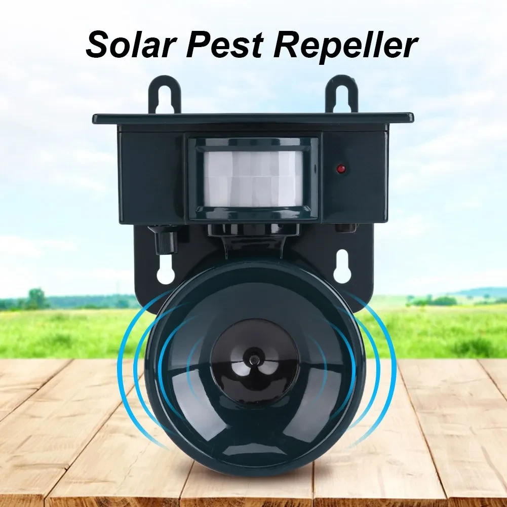 Motion Sensor Garden Animals