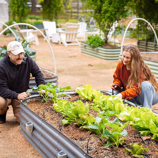 Vego Irrigation Kit