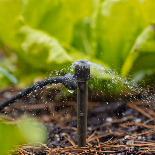 Vego Irrigation Kit