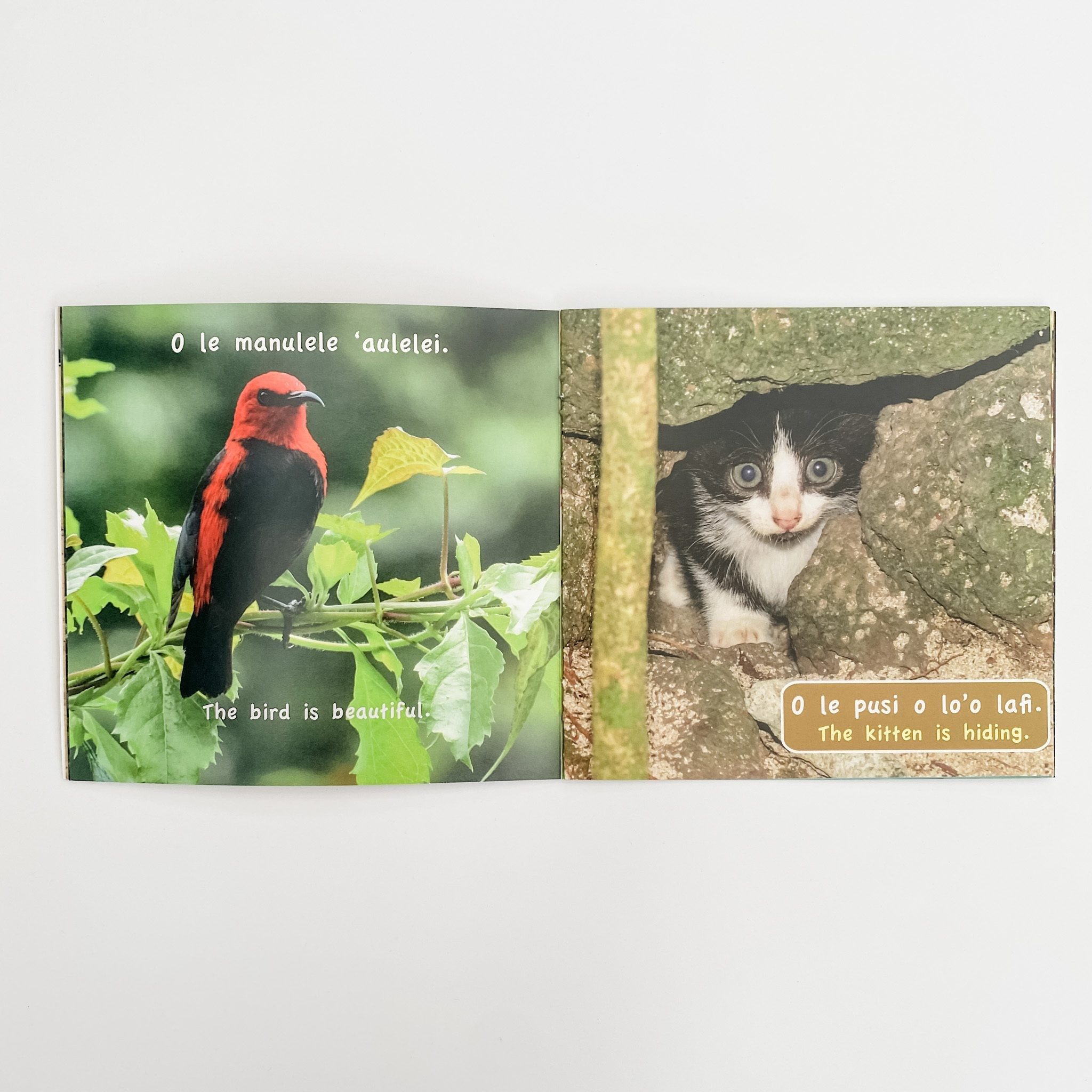 Samoan Animals Book - Made in NZ