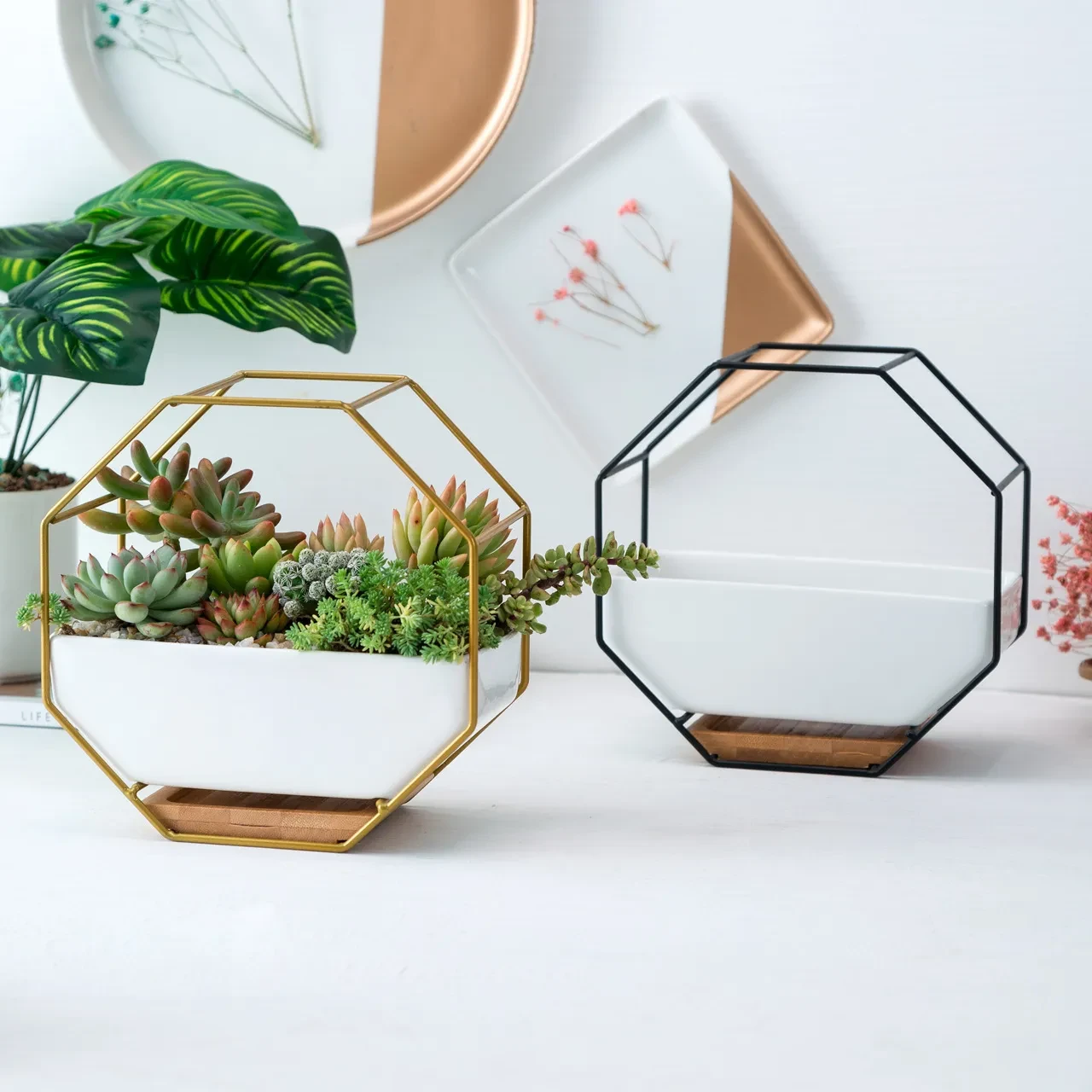 Glass Wall Planters
