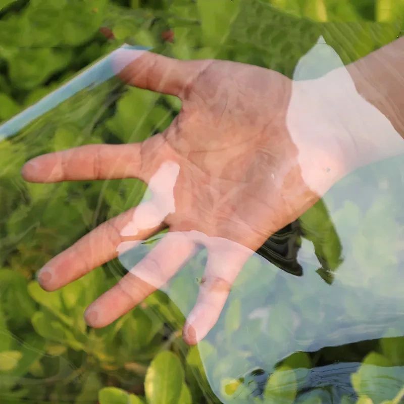 Clear Tarpaulin