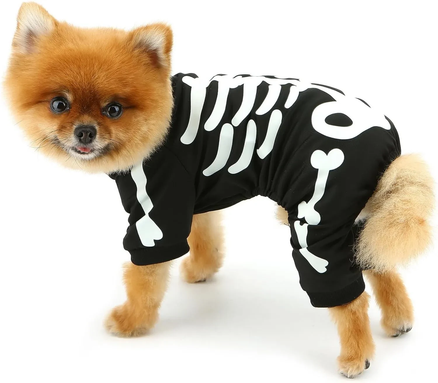 Dog halloween costumes