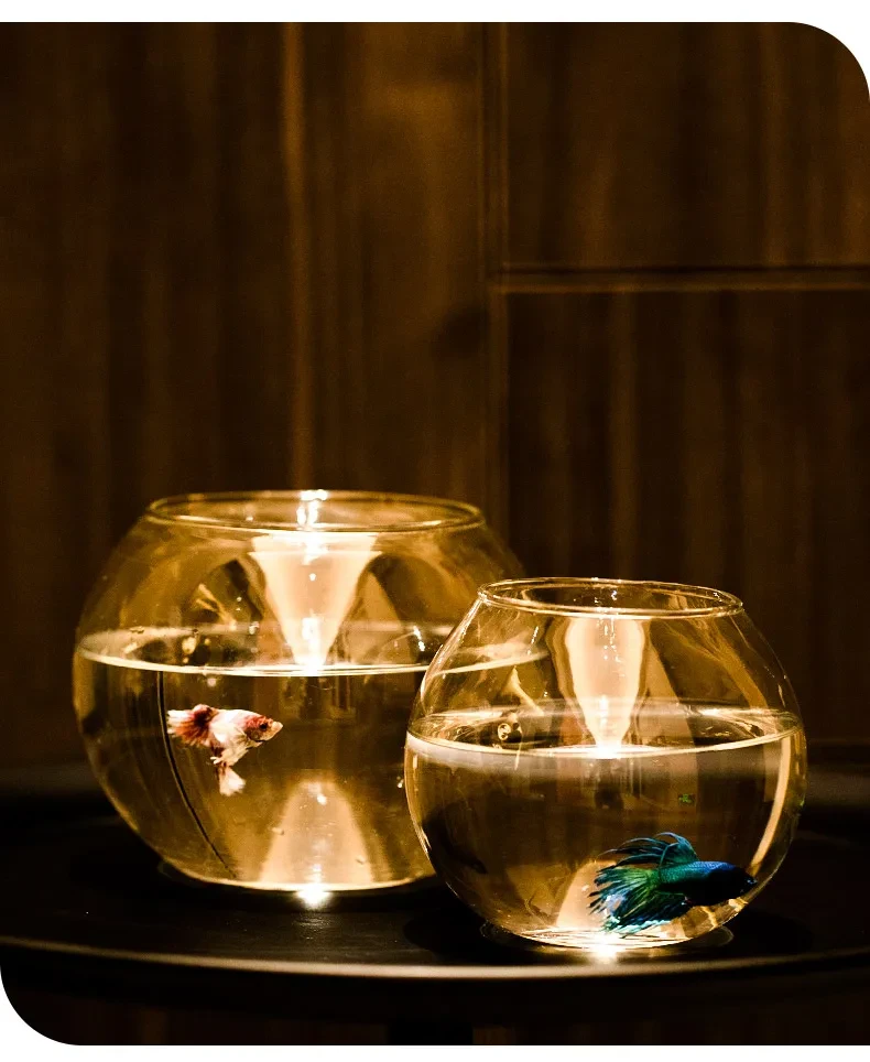 Plastic Fish Bowl