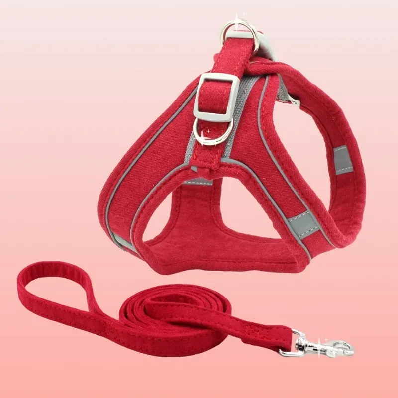 Outdoor Cat Harness & Leash Set