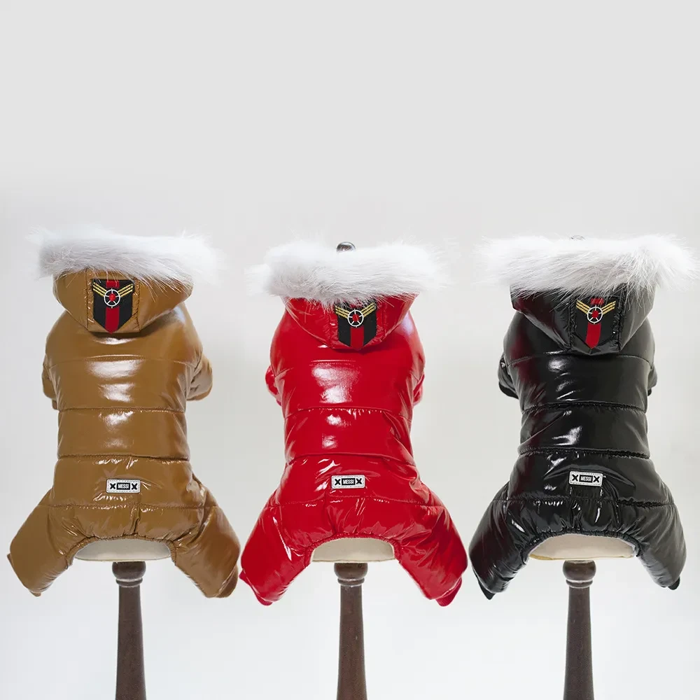 Chihuahua Winter Clothes