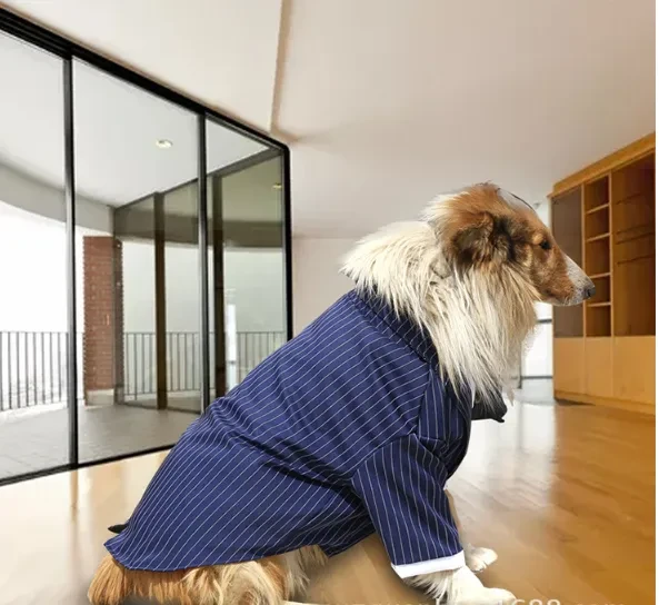 Large Dog Suit