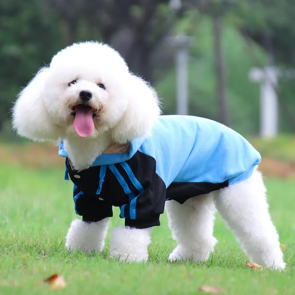Large Dog Suit