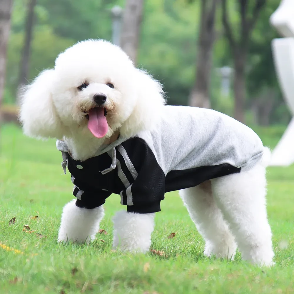 Large Dog Suit