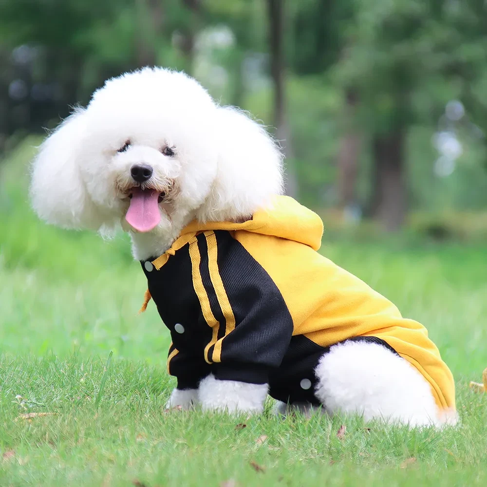 Large Dog Suit