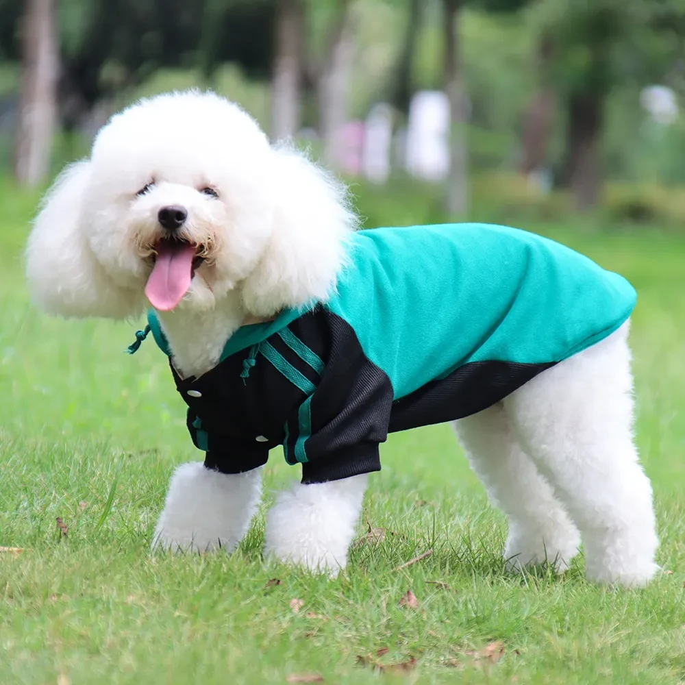 Large Dog Suit