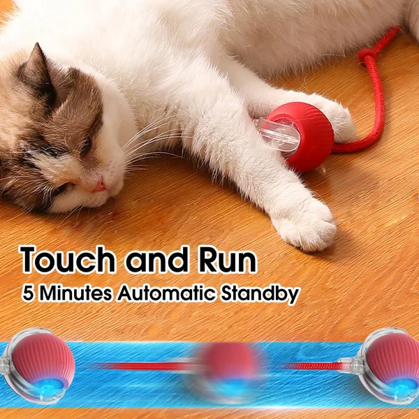 Rollraptor interactive pet toy ball
