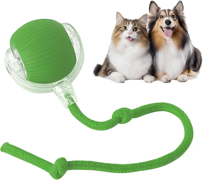 Rollraptor interactive pet toy ball