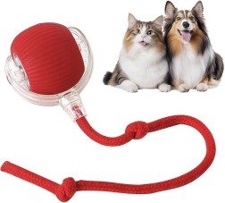 Rollraptor interactive pet toy ball