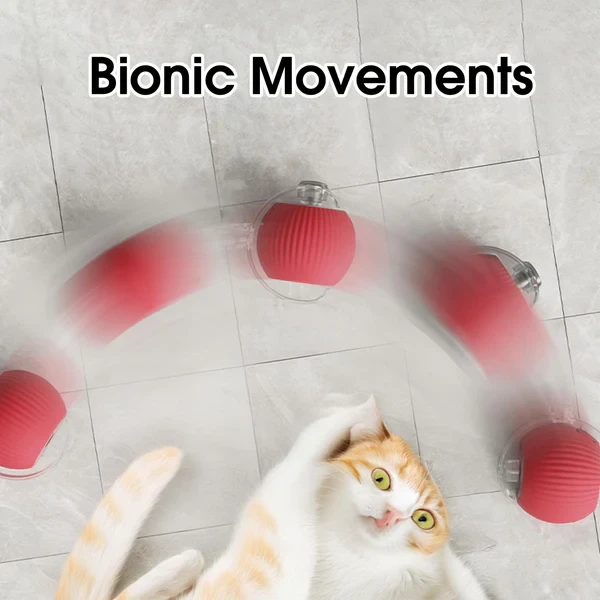 Rollraptor interactive pet toy ball