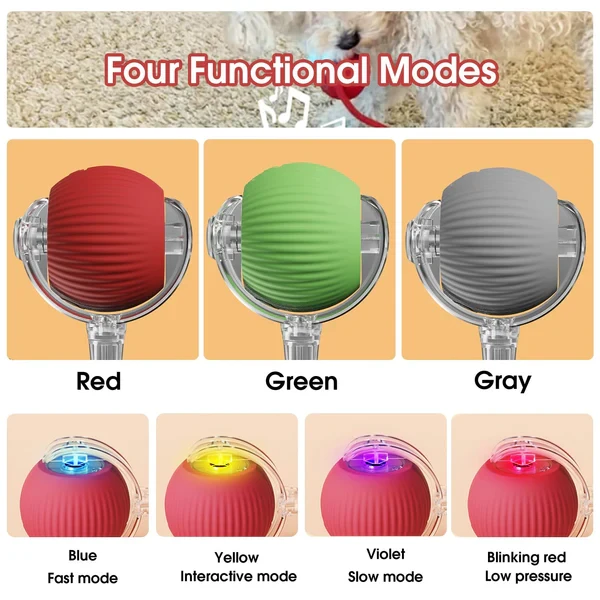 Rollraptor interactive pet toy ball