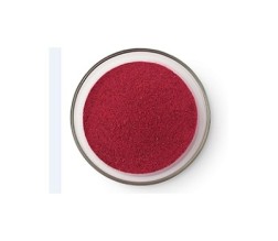 CRANBERRY POWDER FREEZE DRIED 100GMS (FRESH AS 3300-1)