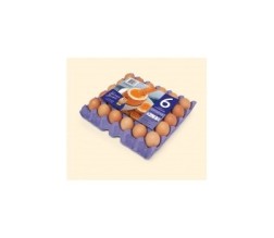 EGGS #6 NORMAL 30s (PER TRAY) - [PRODUCE]