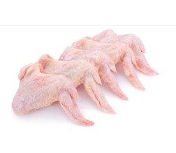 CHICKEN WINGS #22+ GENERAL CODE (PER KG) [FSHMT]