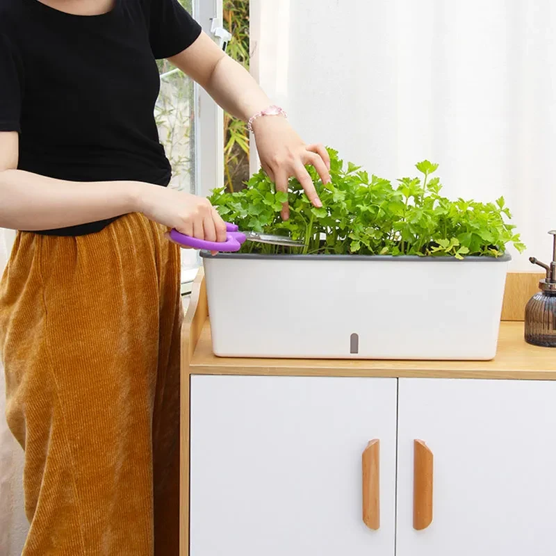 Large plant pots
