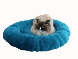 Pet Beds