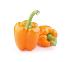 CAPSICUM ORANGE (PER KG) - [PRODUCE]