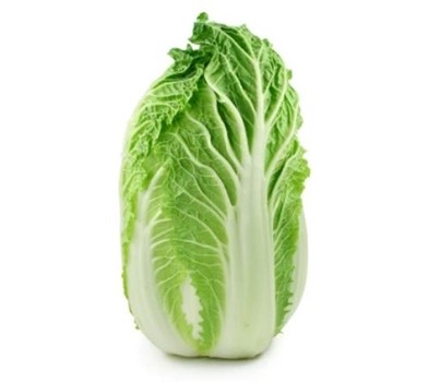 WONG BOK/CHINESE CABBAGE (EACH) - [PRODUCE]